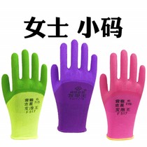 Lady small number Lauprotect gloves foaming king rubber abrasion resistant anti-slip breathable rubber sheet Working to work protective gloves