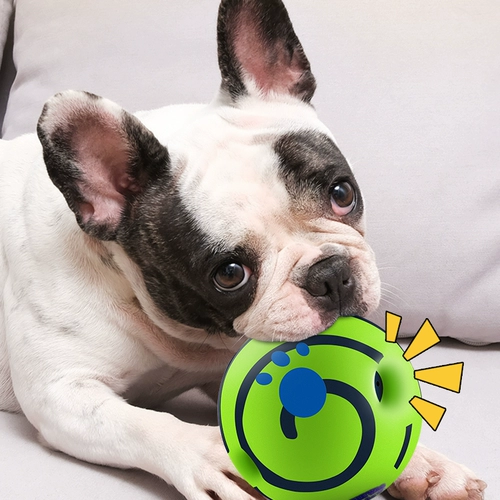 Dog Toy Loud Ball Bite Self -Relief, нечистый и улыбающийся мяч, катящий монстр называемый метод борьбы с домашними животными, изливающие зубы, жесткие -на сайте