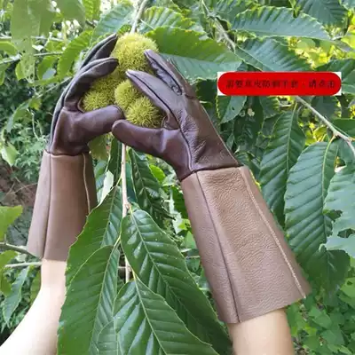 Special gloves for picking pepper, professional anti-stab gloves, garden gardening, pruning, Rose, Thorn, non-slip and anti-tie
