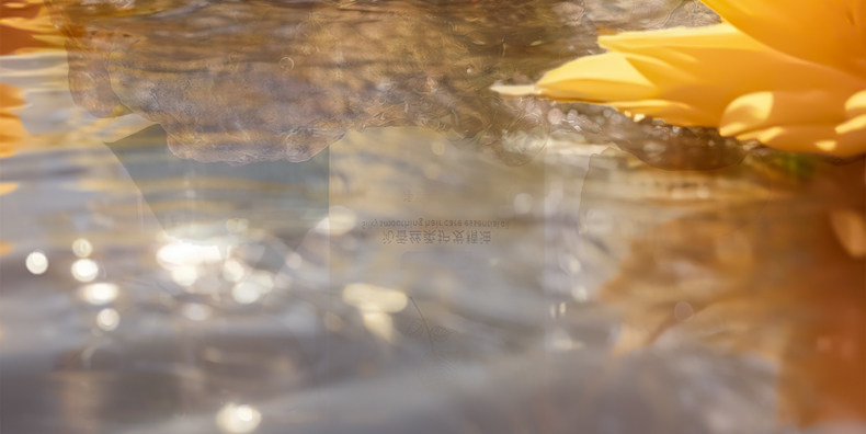 【中国直邮】 VHE 防脱洗发水 强韧健发洗发露控油蓬松男女防掉发洗头膏 400g