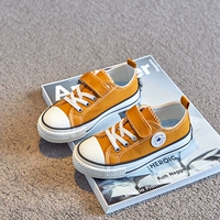 1635 Низкий имбирь