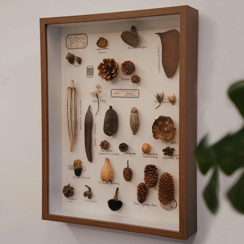 DIY Handmade Three-Dimensional Hollow Specimen Frame, Shell and Plant Collection Display Frame, Suitable for Artificial Board Handmade Photo Frames DIY Handmade Three-Dimensional Hollow Specimen Frame, Shell and Plant Collection Display Frame, Suitable for Artificial Board Handmade Photo Frames