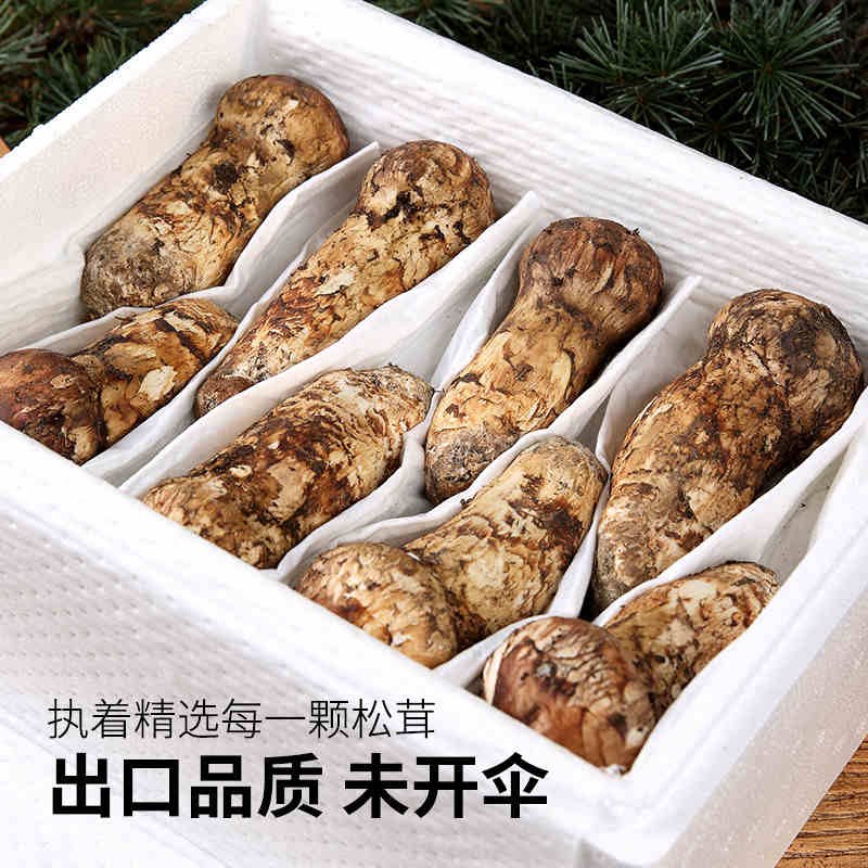 新鲜野生松茸来袭!特价活动,包邮到家,吃货们准备好了吗?🍄🎉-新鲜山药-淘宝百科网