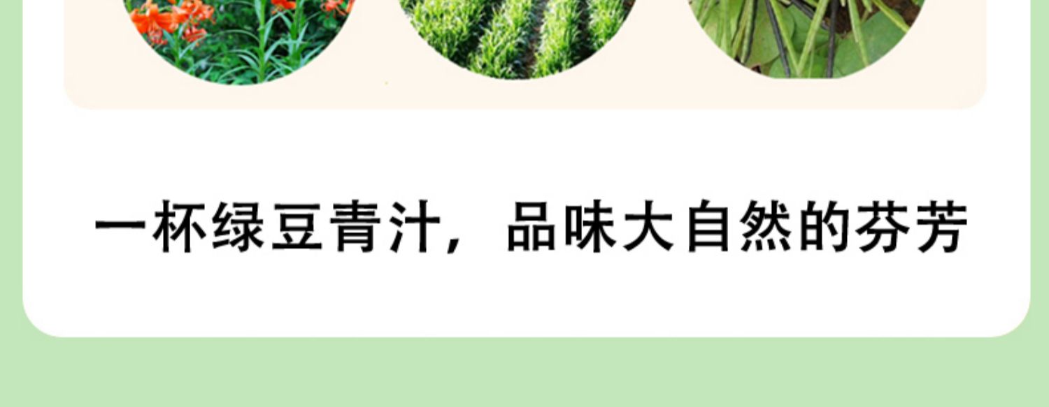 硒湘记百合绿豆大麦若叶青汁代餐粉