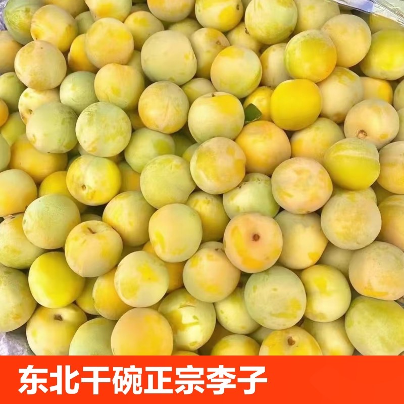 东北黄李子大揭秘!这颗小黄干核竟如此神奇?-李子-淘宝好物网