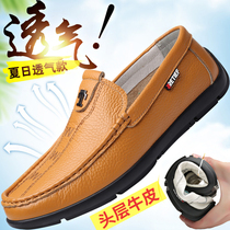 Red Dragonfly Fall Mens Shoes 2021 White Bean Bean Shoes Genuine Leather Casual Leather Shoes Korean version 100 hitch Softbottom Lazy Shoes