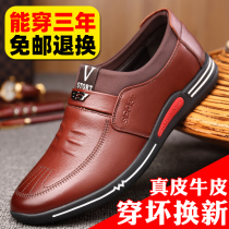 Mens shoes Winter 2021 Red dragonflies new Inn 100 hitch-wave shoes plus suede warm leather casual male leather shoes