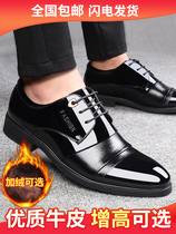 Red dragonfly leather shoes mens leather winter new business casual Korean version for mens gush warm Inn dress man