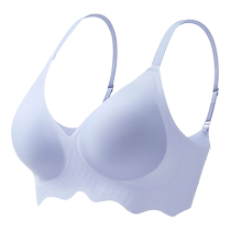 Catman underwear for women thin big breasts anti-sagging auxiliary breasts gathered beautiful back sexy seamless bra without rims