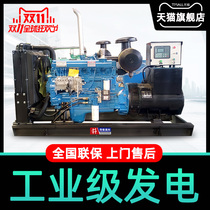 Weifang Ricciardo Industrial Stand - by AC diesel generator 380v assembly