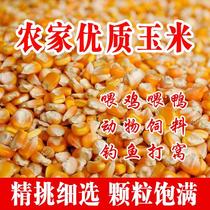 Farmhouse large grain corn grain corn grain corn seed corn seed corn millet rice feeding chicken duck and goose rabbit fishing for cohort feed