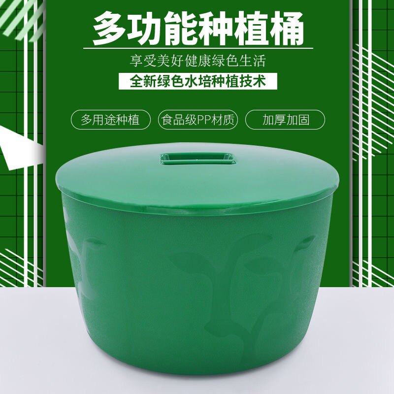 玉露园艺