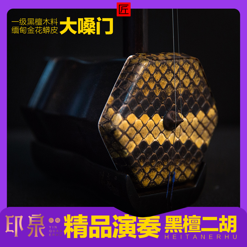 Yinquan national musical instrument professional black sandalwood playing erhu for grade examination playing loud volume famous brand erhu factory direct sales