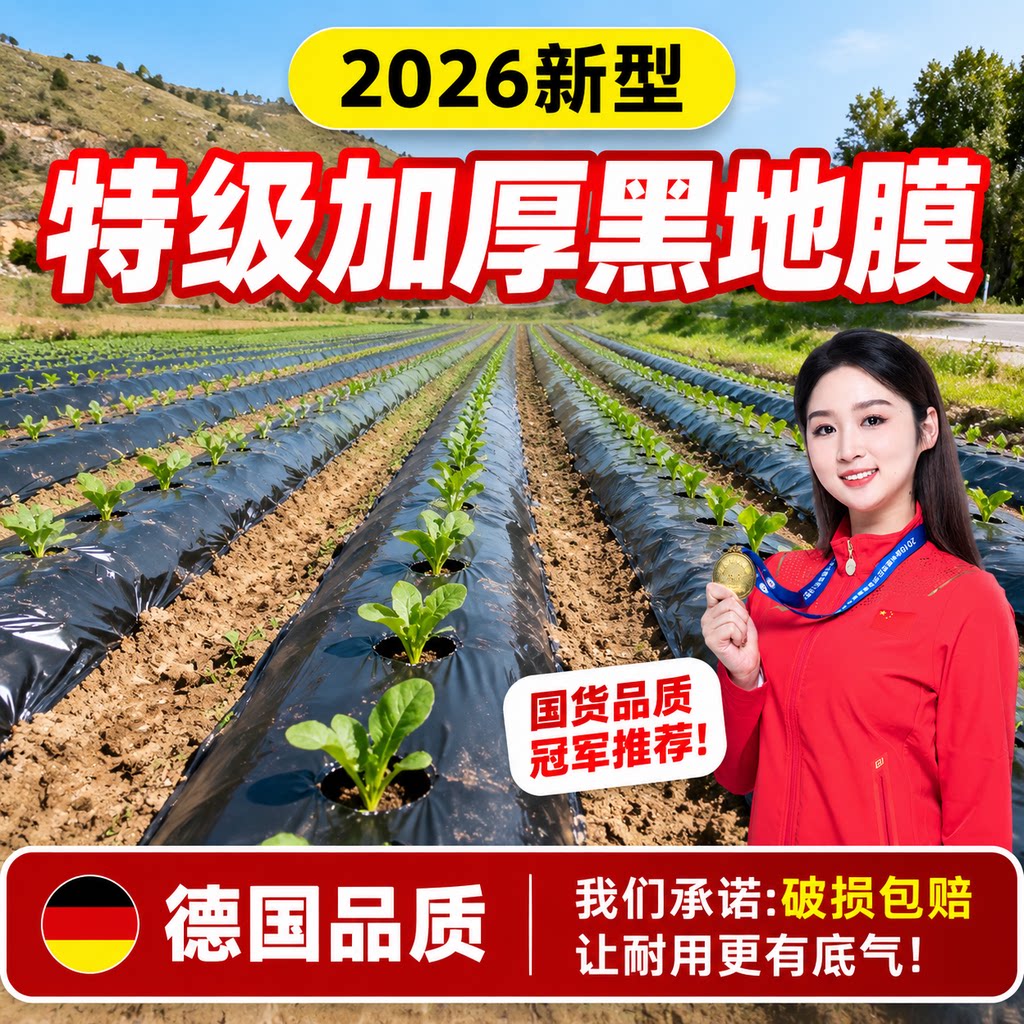 Silver and black two-color mulch film with holes for agricultural planting film