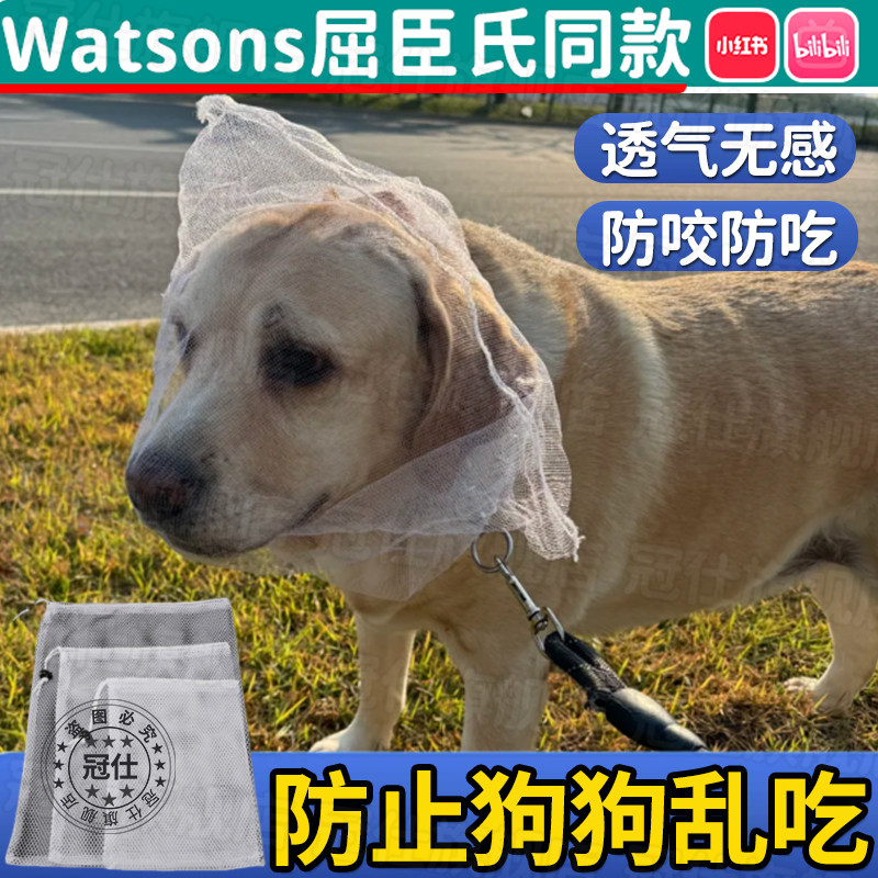 防止狗狗乱吃东西透气嘴套狗狗专用防舔咬网套嘴罩小型口罩神器lf
