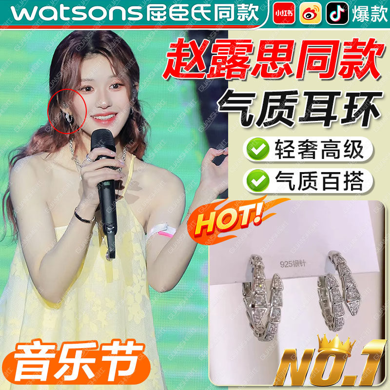 赵露思耳环音乐节同款2025新款爆款高级感气质女轻奢百搭耳钉tl