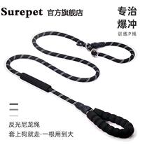 Medium large dog dog chain walking dog rope P chain p rope plus coarse lengthened training dog explosion-proof gold wool Labrador traction rope