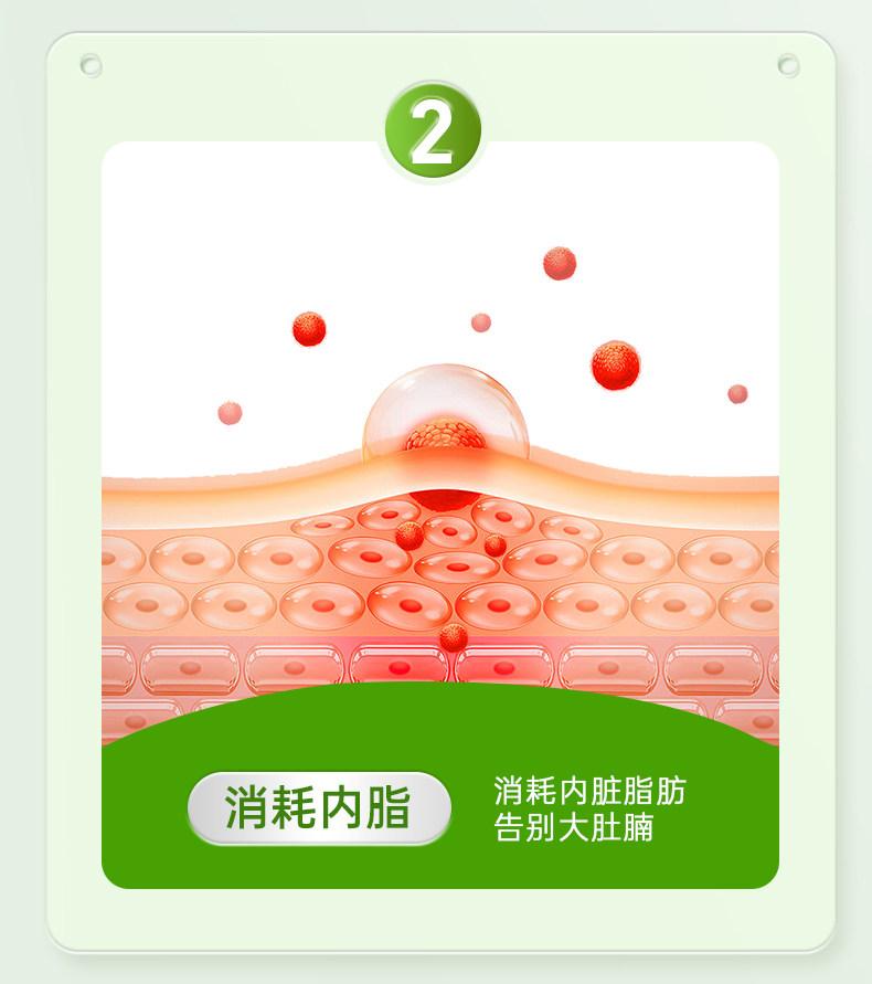 【中國直郵】 嘉臣健 減肥茶刮油茶 去濕氣排油全身瘦肚子減脂食品瘦身燃脂排油 3盒