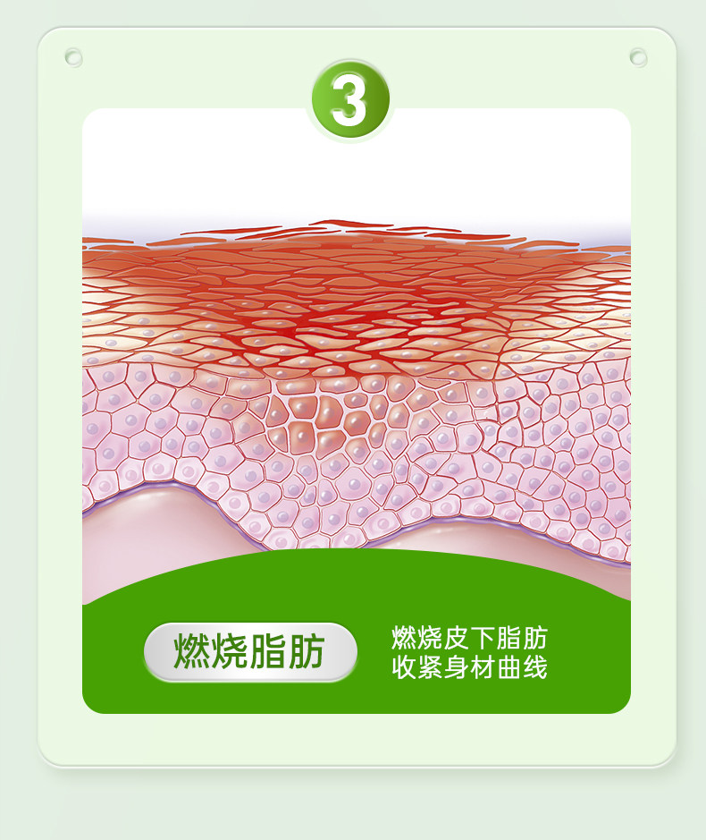 【中國直郵】 嘉臣健 減肥茶刮油茶 去濕氣排油全身瘦肚子減脂食品瘦身燃脂排油 3盒