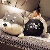 Hashotsch Paparazzi B Doll Cute Diha Plush Toy Dog Girl Sleeping With Pillow Birthday Gift Doll