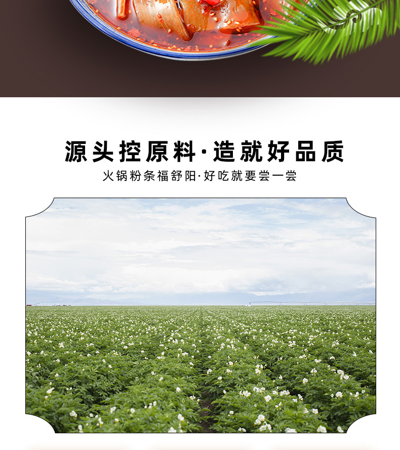 【福舒阳】250g*3袋火锅宽粉