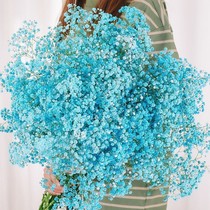 Full Star Dried Flowers Bouquet Real Flowers Living-room Furnishing Decoration Pendulum With Fresh Inserts Summer Meme Birthday Sends Girlfriend Presents