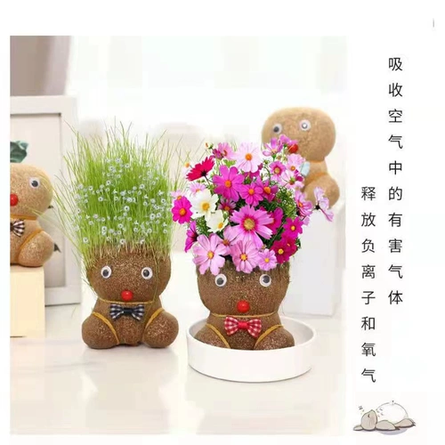 Креативные цветущие куклы с травяной головой, настольные украшения, легко выращиваемые, зеленые растения, вибрато, горшечные растения в одном стиле, крытое студенческое общежитие.