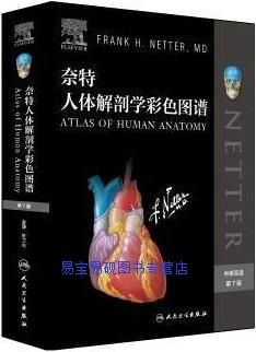 奈特人体解剖学彩色图谱第7版(美) 弗兰克奈特(Frank H.Nette