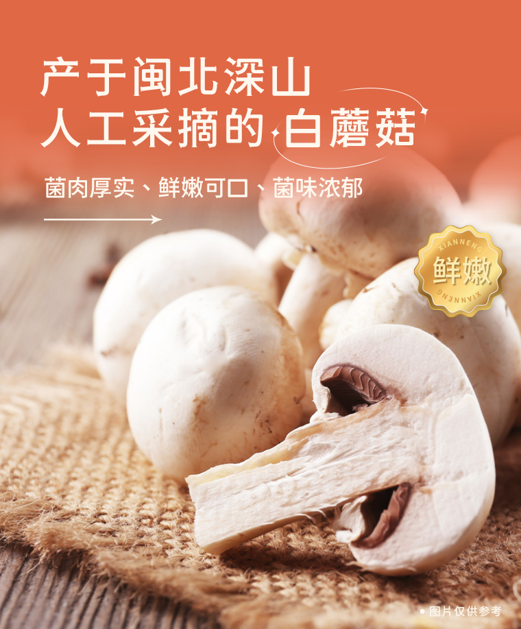 中华老字号  陶陶居 小鲜陶 黑松露虾仁加热即食披萨 120g*3片 图3