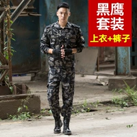 Высококачественный комплект, штаны, черный орел