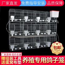New Pigeon Cage Breeding Cage Large Outdoor Meat Pigeon White Dove Large Jade Bird Breeding Cage Pigeon Special Cage AA