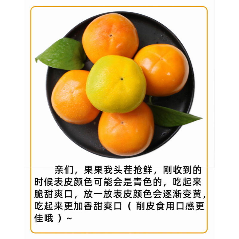 锐特RT-1350与RT-1750:稳定经济下的专业绘图伙伴