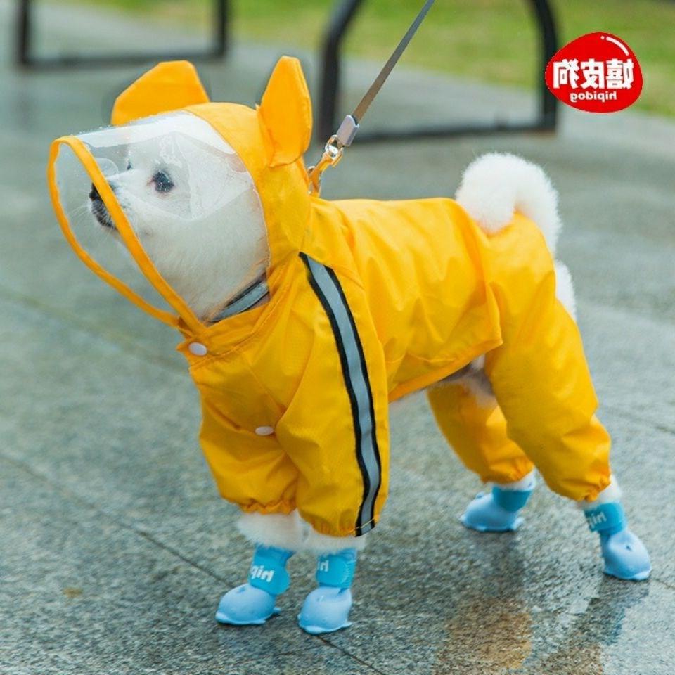 Chai Dog Bears BombBeauty Rain Cape Pet Raincoat Teddy Small Waterproof Full Bag big-footed four-leged dog mid-sized puppies