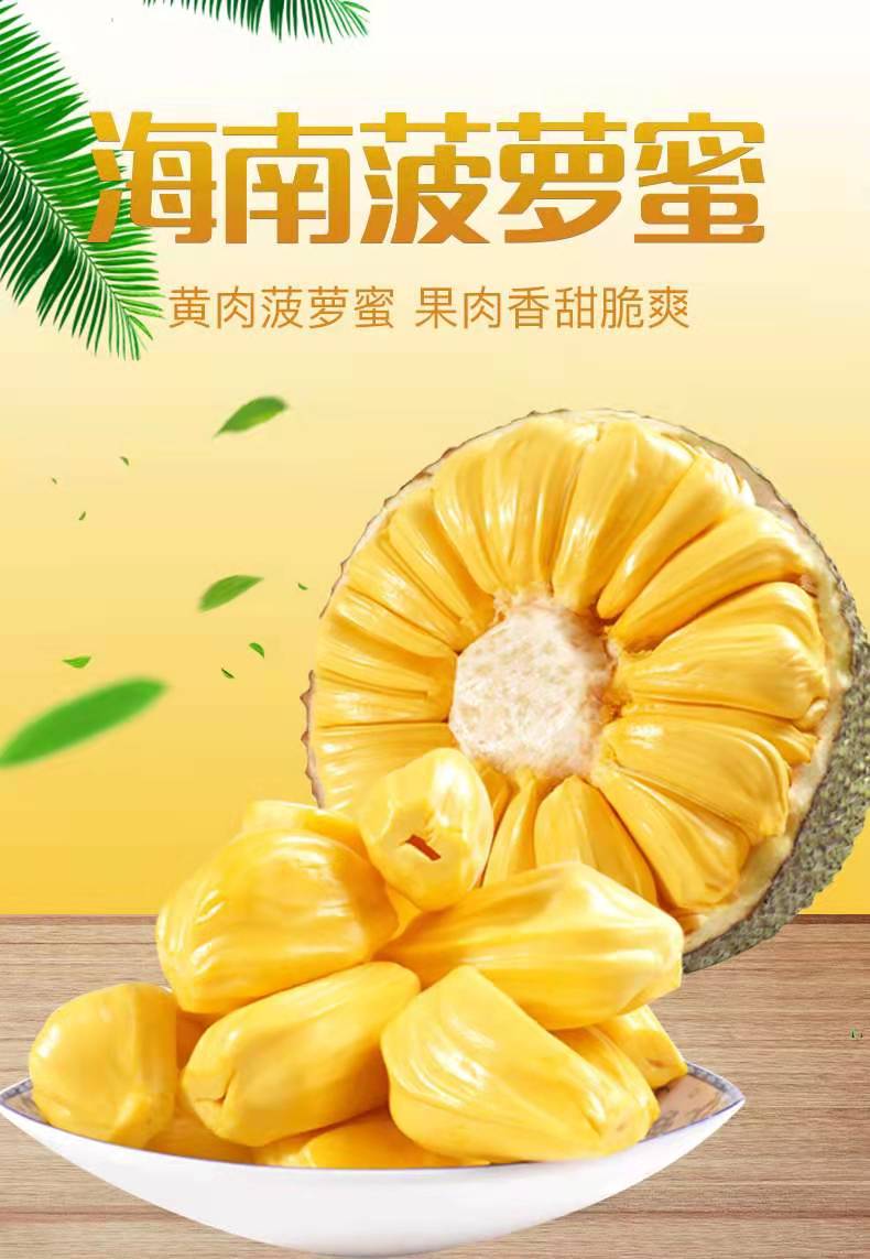 【约15-20斤】海南黄肉现摘新鲜菠萝蜜