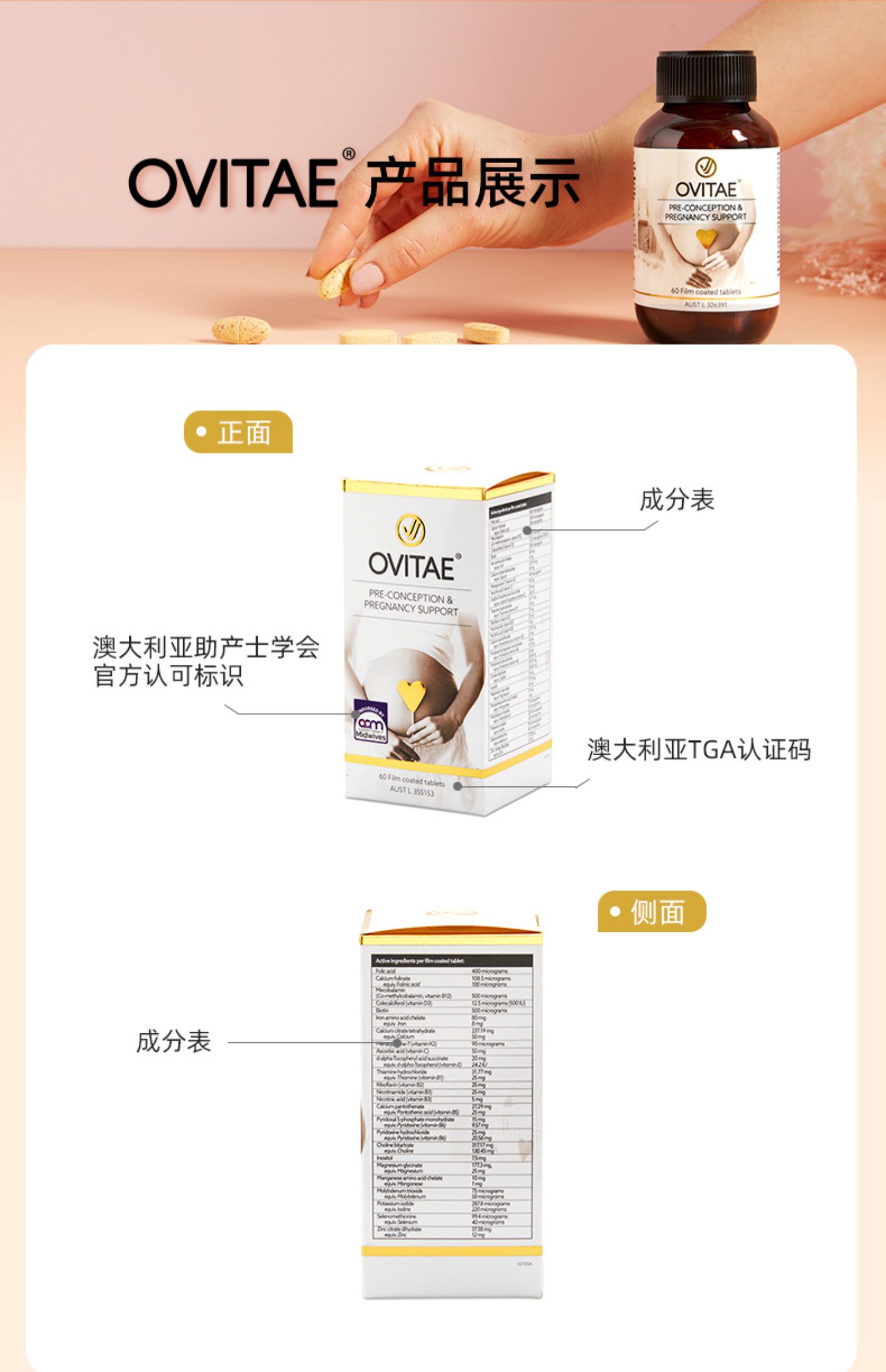 OVITAE  澳研金安叶酸片复合维生素