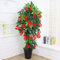 Joeys new home for moving new home Entrance Ceremony Supplies Plant Potted Hair Treasure tree Fugui Bamboo Pendant Small Hanging Accessories