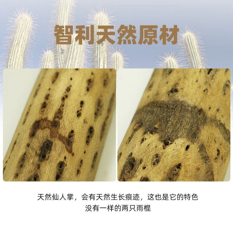 Derry Terre Rain Stick South America Chile Cactus Rain Stick Rain Sound Instrumental Rain Sound Cylinder Ethnic Minority Musical Instrument Soundtherapy