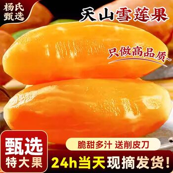 Authentic yunnan tianshan yacon | crisp, sweet and juicy