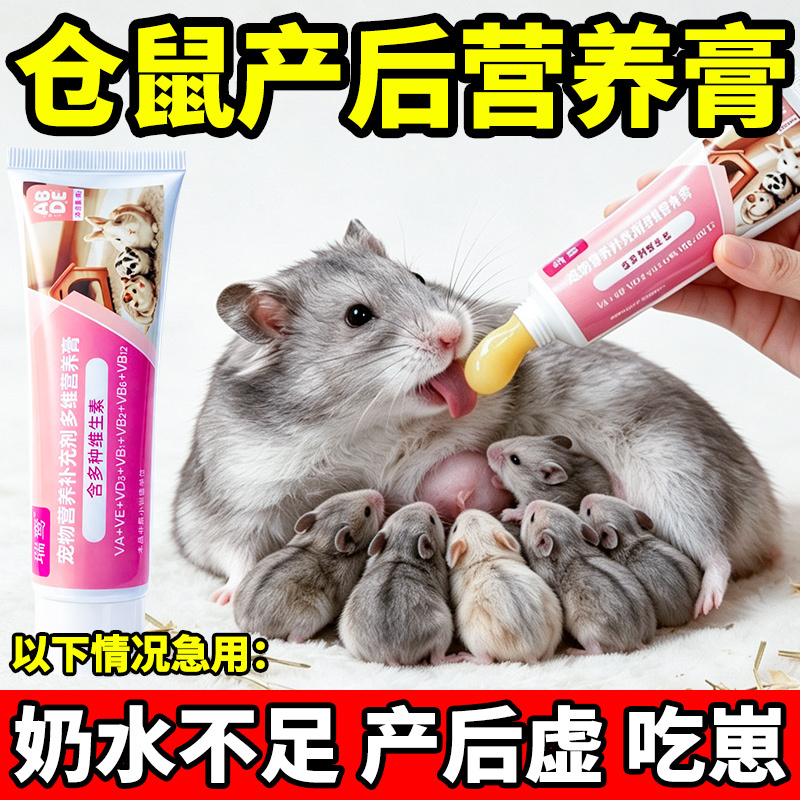 Hamster Nutritional Paste Postpartum Meal Lactation Milk-Boosting Food Nutritional Staple Food High-Protein Complementary Food Nutritional Supplement Hamster Nutritional Paste Postpartum Meal Lactation Milk-Boosting Food Nutritional Staple Food High-Protein Complementary Food Nutritional Supplement