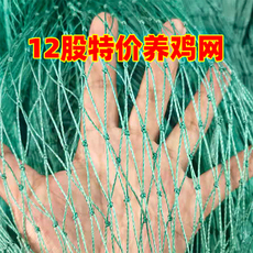 Спортивная сеть/периметр 拦鸡网葡萄爬藤网樱桃网围网塑料瓜果防鸟家禽尼龙果树鱼塘果园