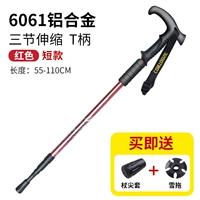 Расширение модели [короткий красный тип] обновление EVA