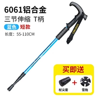 Экстракция [короткий синий тип] обновленная EVA