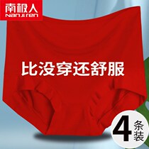 Antarctic Modale underpants was the year of big red cotton fat MM triangles 2 4