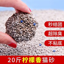 Cat litter 40 catty 20 catty 10 kg Bentonite T Price 10 Catty 5 Catty Deodorant Dust-free Cat kitty Supplies