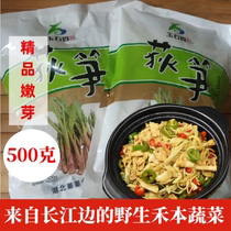 2024 Fresh Hubei Shishou Jianli Public Security Specialty Chai Bamboo Shoots Vegetable Bamboo Shoots Di Bamboo Shoots Reed Bamboo Shoots Premium Packaging Sprouts