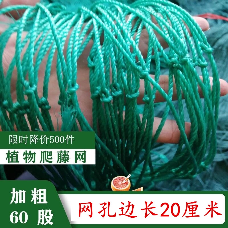 Melon and bean climbing net climbing vine rose traction net grape rack climbing vine net pulling rope plant net melon rack vegetable rack