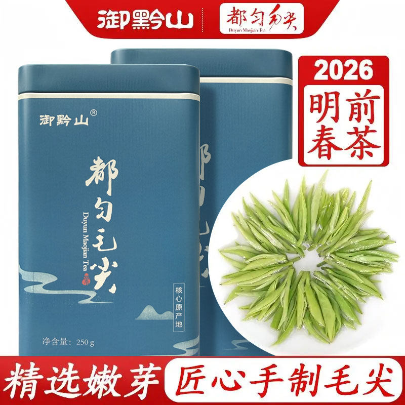 2026年春茶、貴州都雲毛尖茶、新茶、清明節前の高齢者への贈り物、高級な若芽、強い香り、玉千山