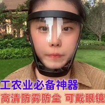 German high penetration protective mask beat pesticide electrowelter anti-fog riding windproof sand full face anti-droplets oil splash