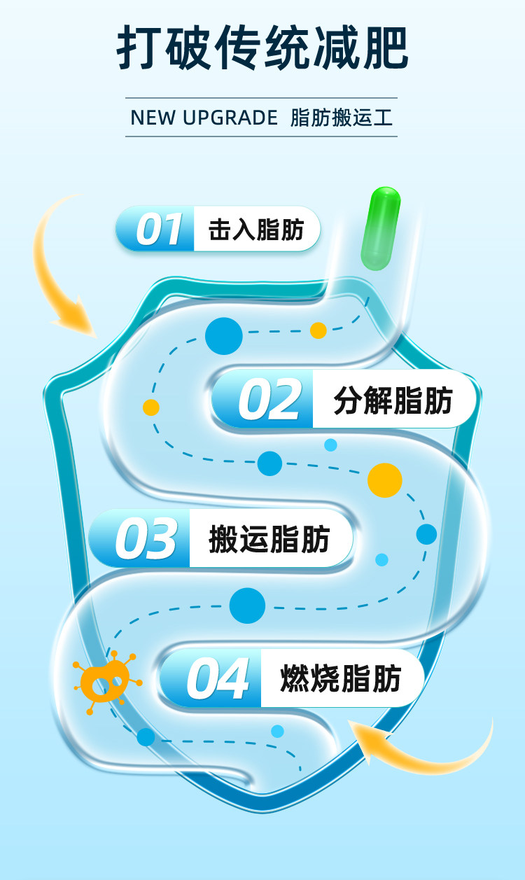 【中国直邮】  九芝堂 杨柳青胶囊 减肥瘦身燃脂排油男士专用女性日夜减肥 0.35g/粒*30粒