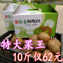 Jiangshan Xuxiang kiwi 10 pounds green heart kiwi fresh fruit fresh kiwi fruit extra large fruit king